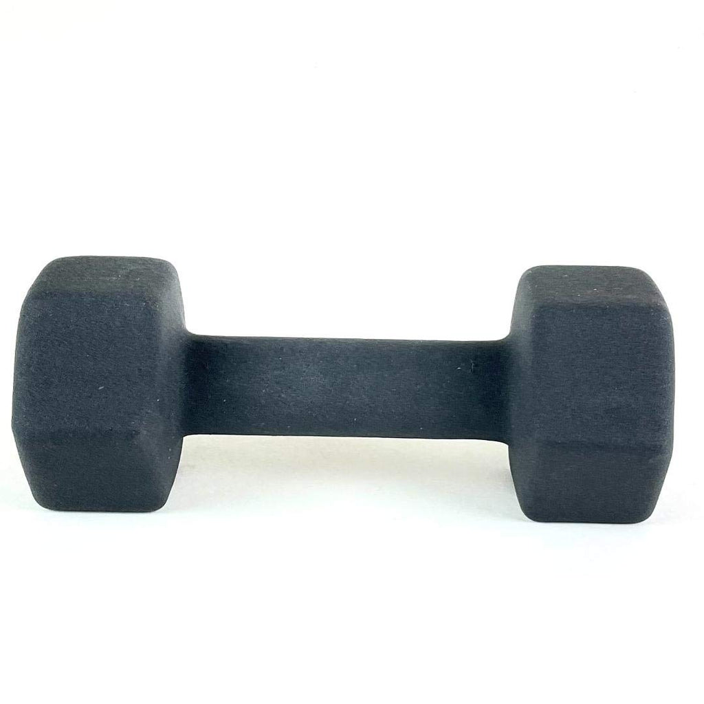 Black 10LB Set of 2 Neoprene Coated Hex Dumbbell W29287