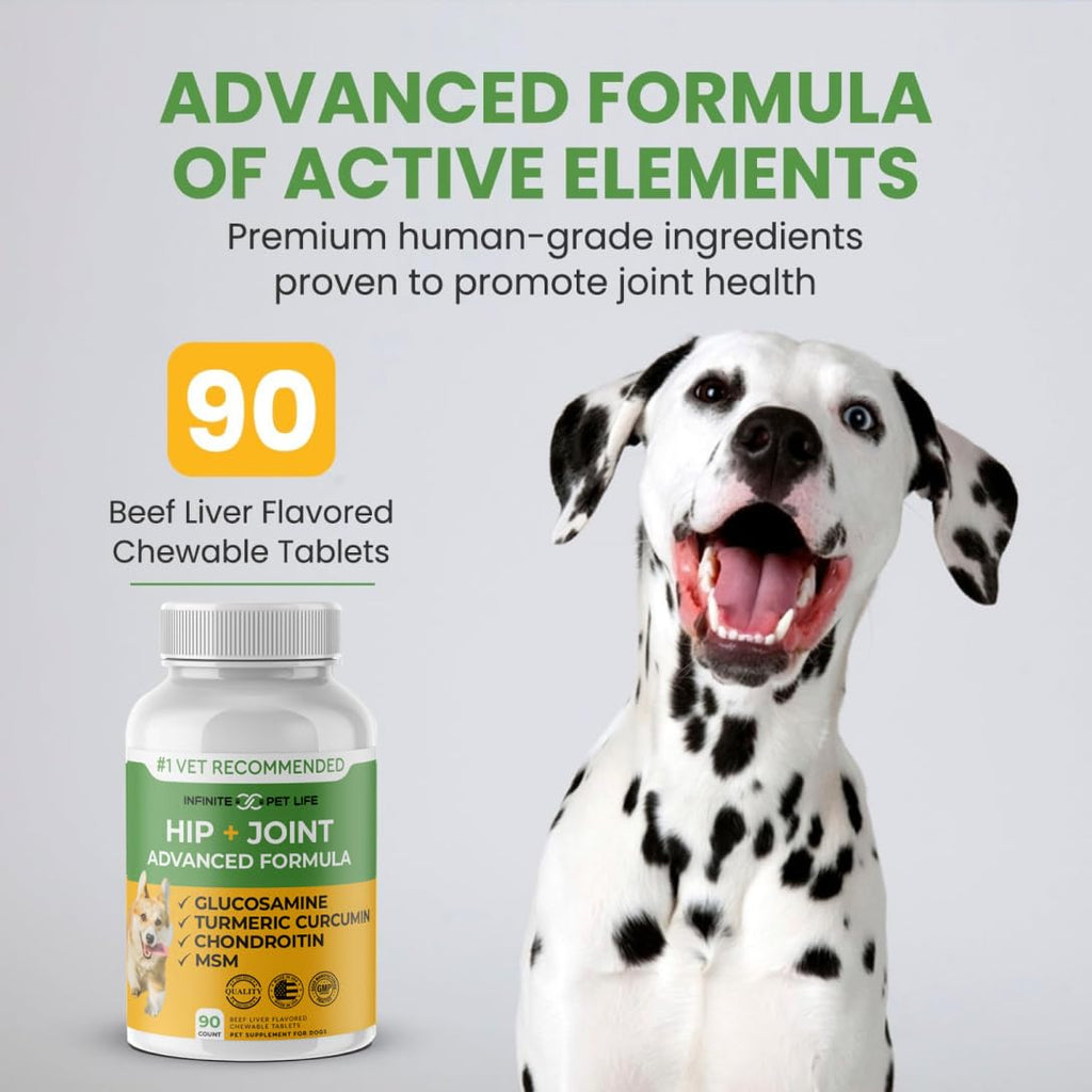 Hip and Joint Supplement for Dogs 90 Chewable Tablets X336987