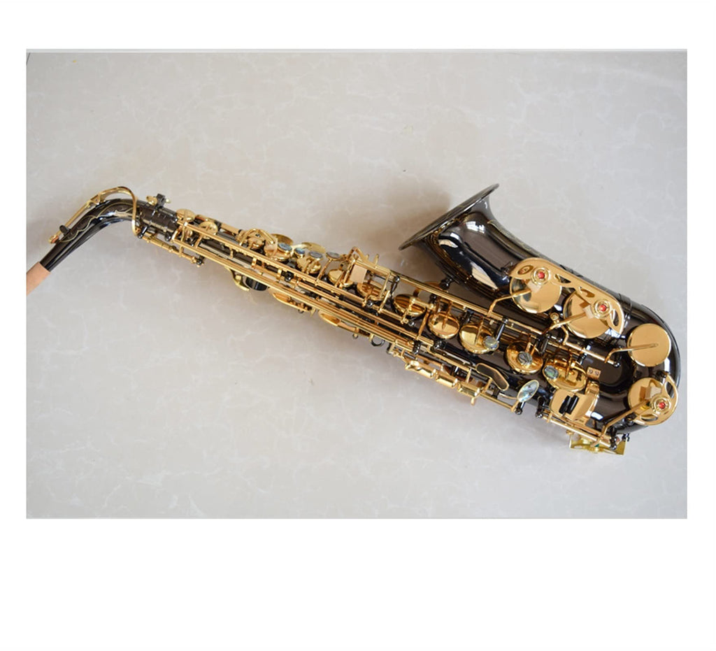 Black Nickel E Flat Alto Saxophone Set N37227