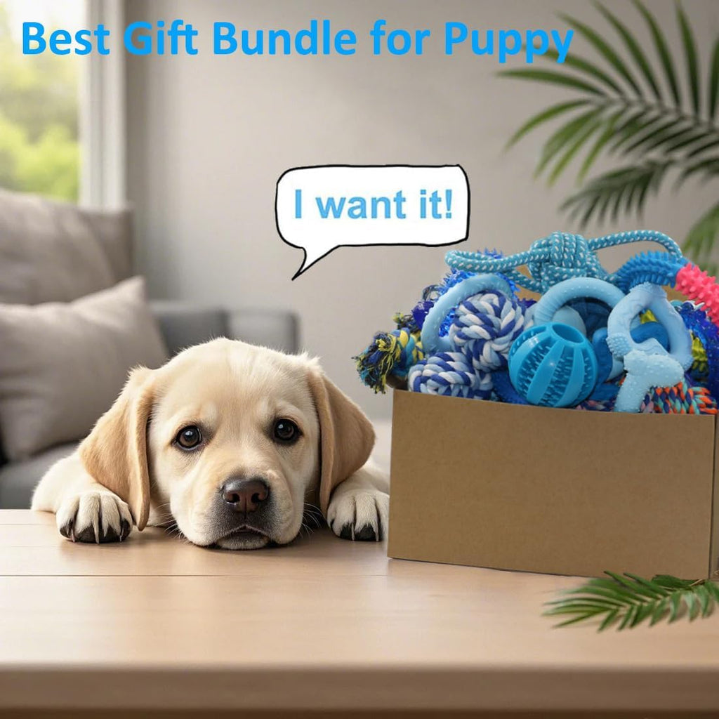 20 Pack Puppy Chew Toys Q38192