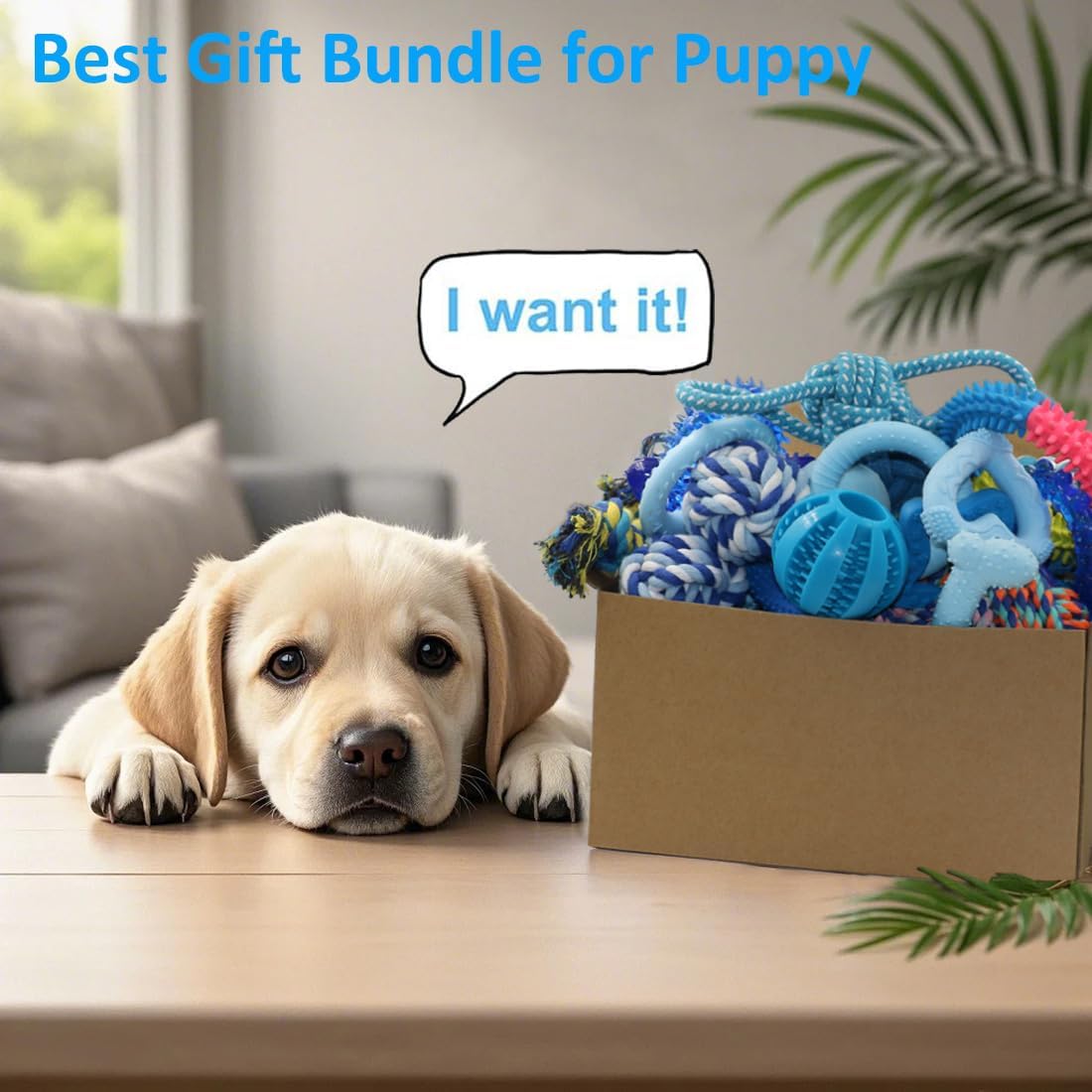 20 Pack Puppy Chew Toys Q38192