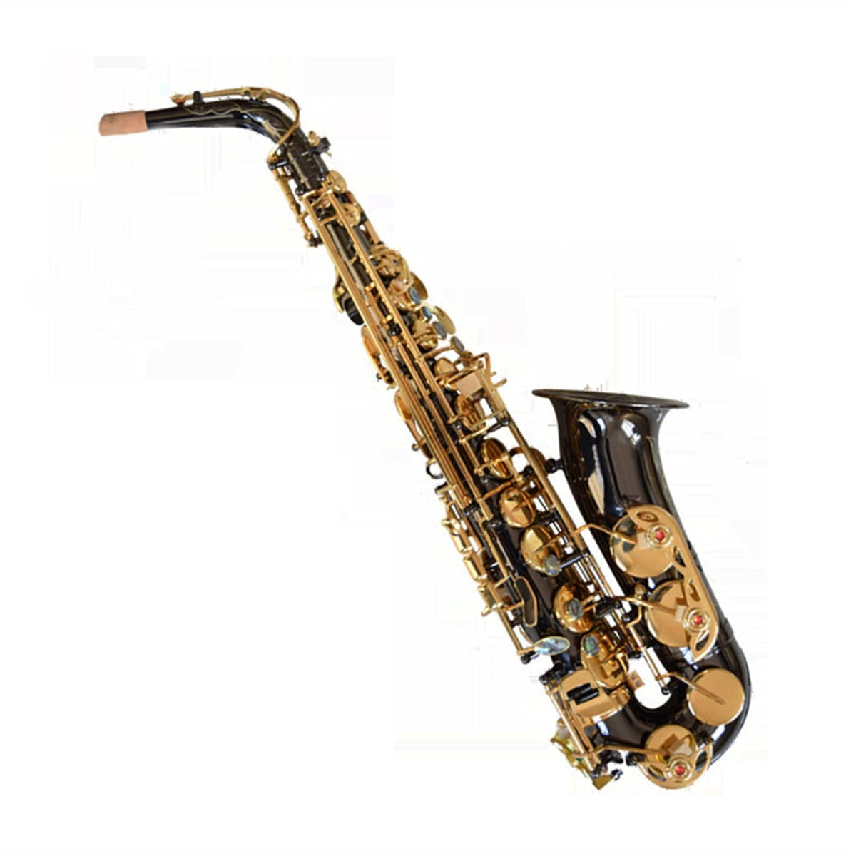 Black Nickel E Flat Alto Saxophone Set N37227
