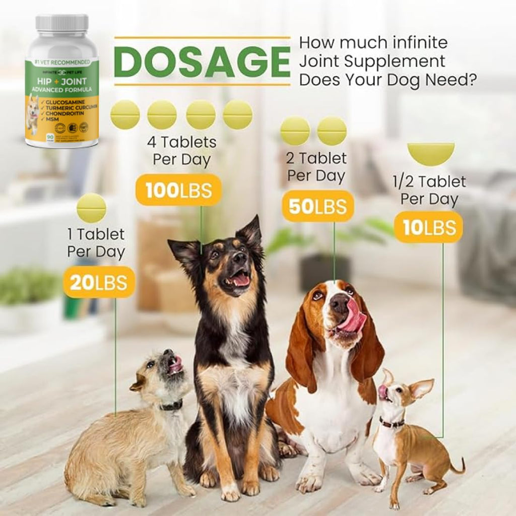 Hip and Joint Supplement for Dogs 90 Chewable Tablets X336987