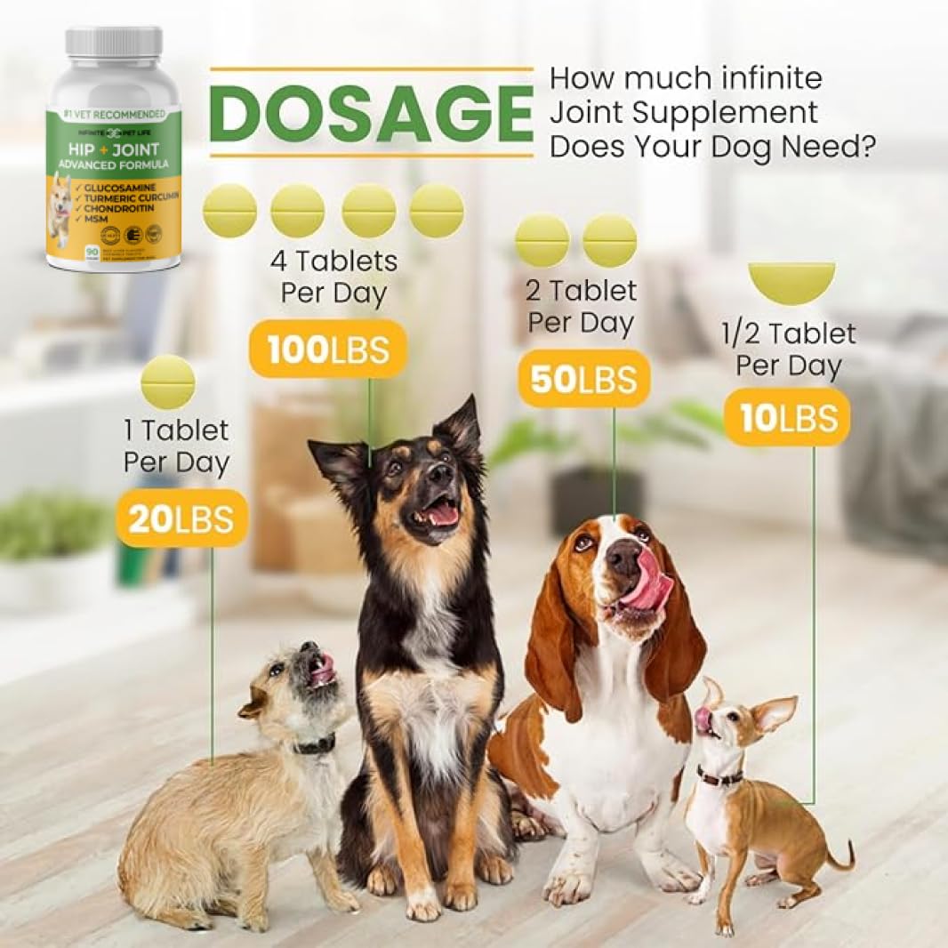Hip and Joint Supplement for Dogs 90 Chewable Tablets X336987