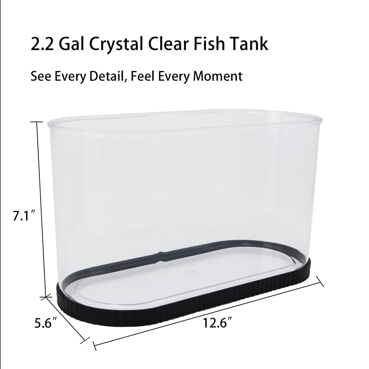 2 Gallon Fish Tank Kit with Filter and Light W8128