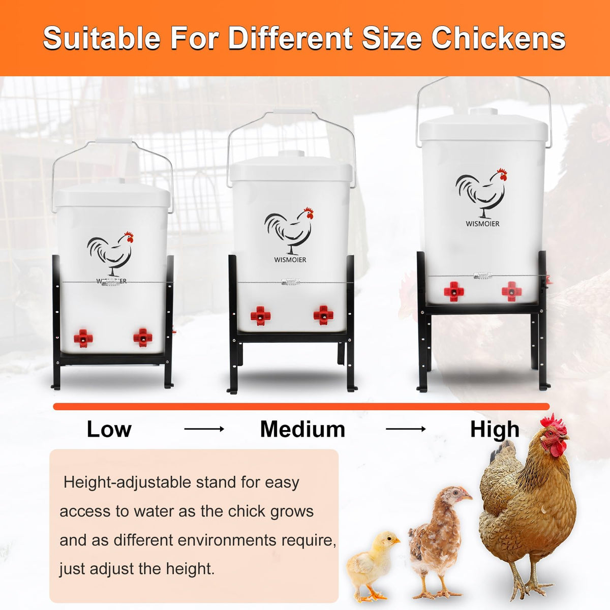 3 Gallon Heated Chicken Waterer D700257