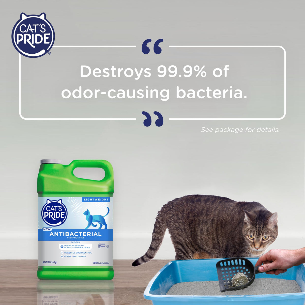 Antibacterial Odor-Eliminating Scented Cat Litter 12lb F64648