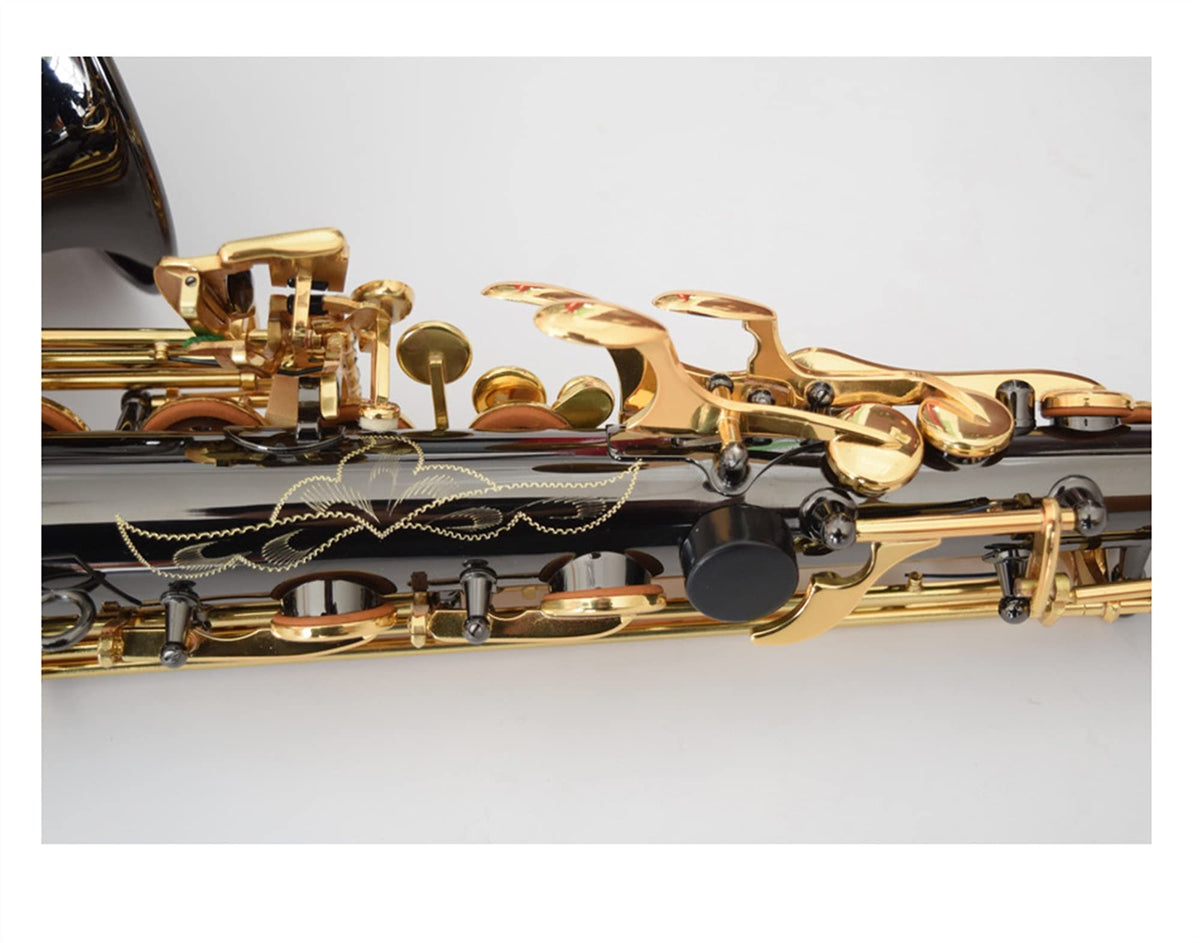 Black Nickel E Flat Alto Saxophone Set N37227