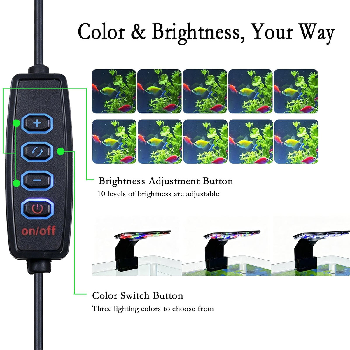 2 Gallon Fish Tank Kit with Filter and Light W8128