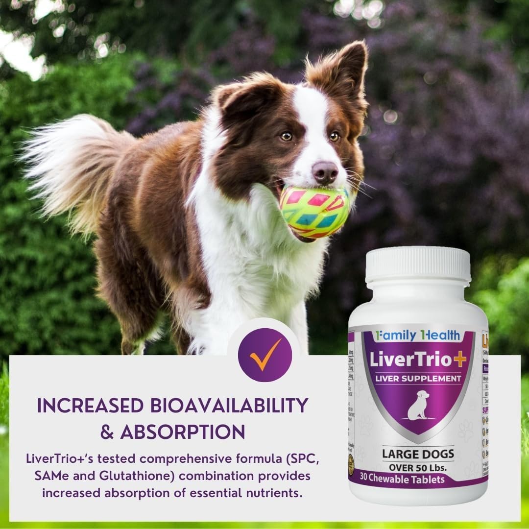 Liver Support Supplement for Large Dogs Chewable Tablets 30Ct V612727