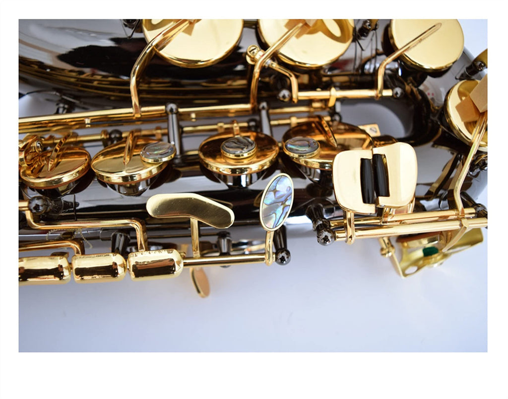 Black Nickel E Flat Alto Saxophone Set N37227