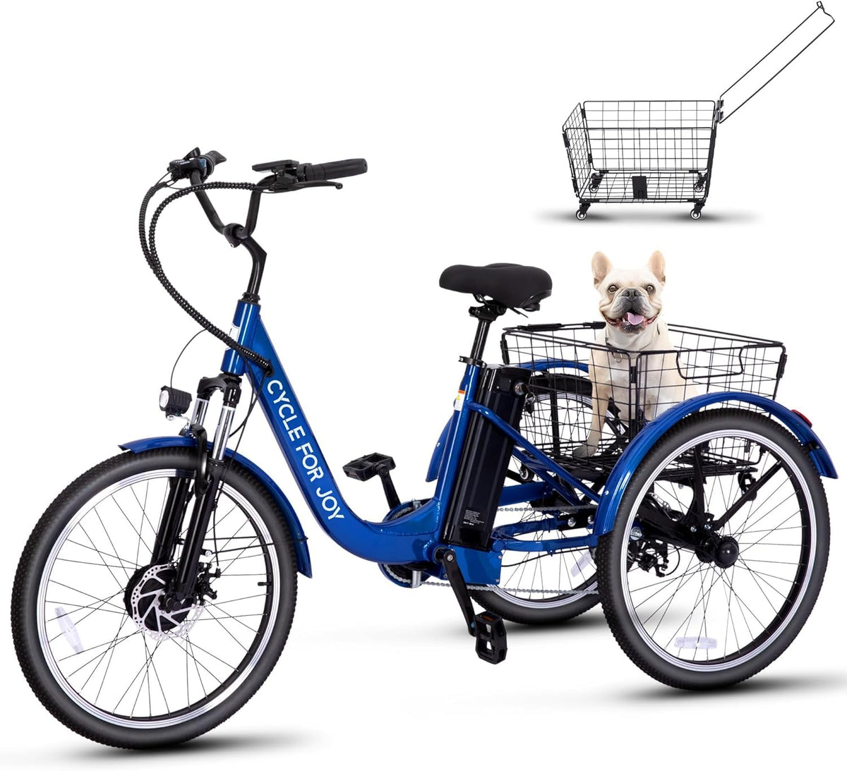 3 Wheel Electric Tricycle P9829
