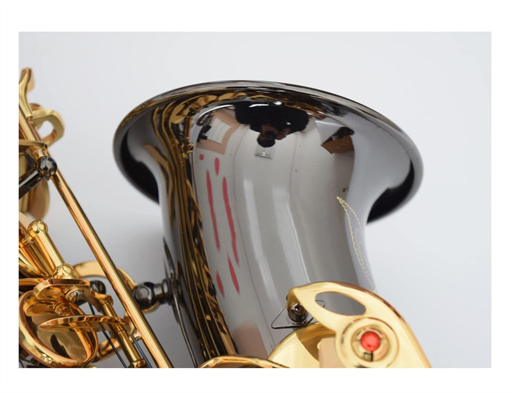 Black Nickel E Flat Alto Saxophone Set N37227