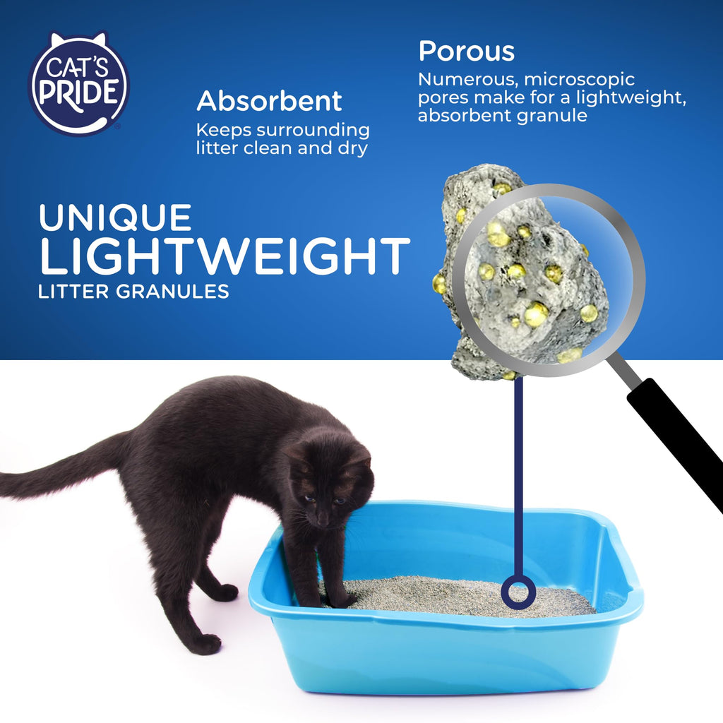 Antibacterial Odor-Eliminating Scented Cat Litter 12lb F64648