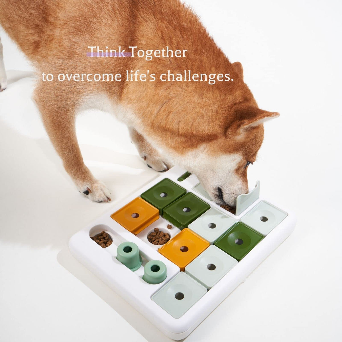 Dog Puzzle Toy 3 Levels T829030