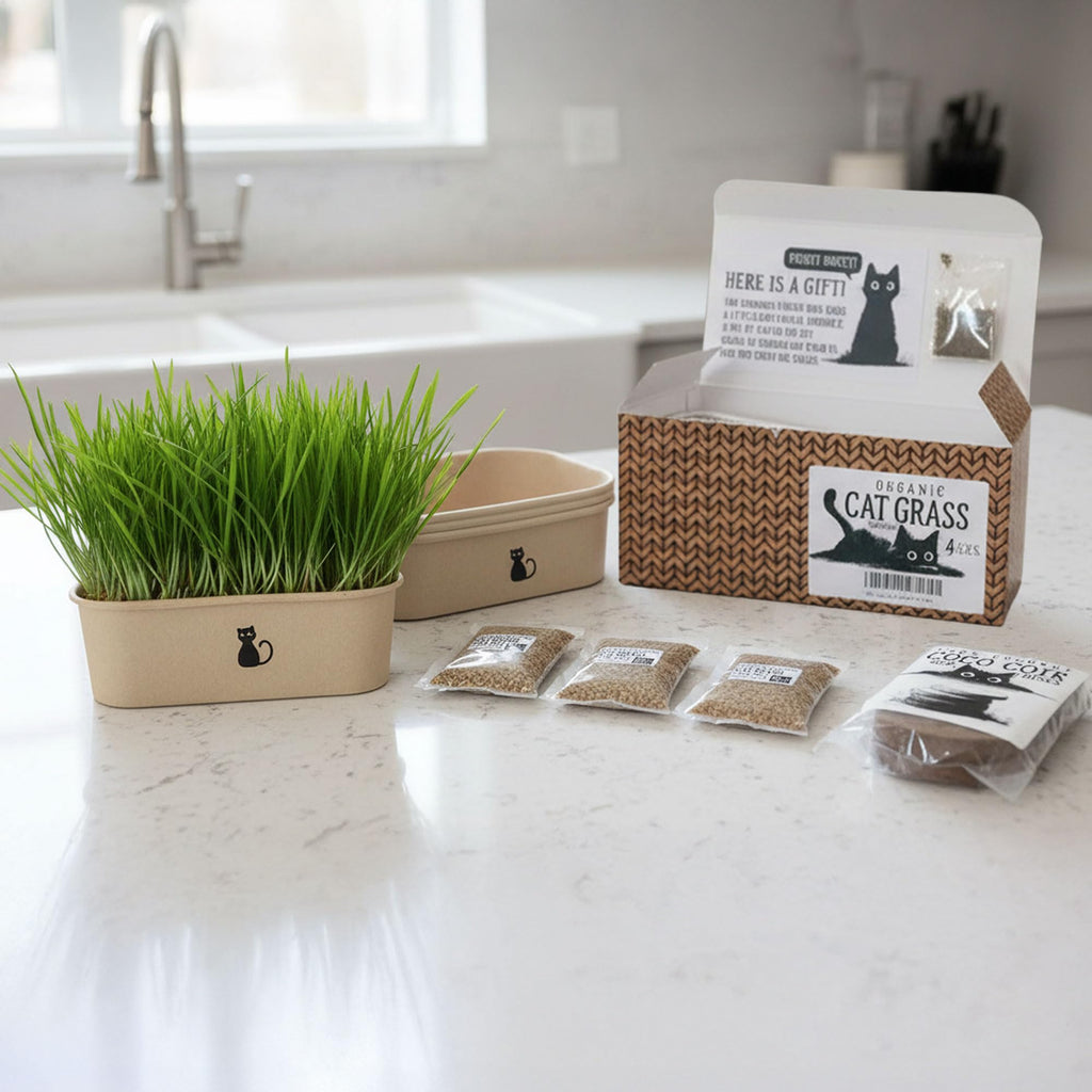 4-Batch Indoor Cat Grass Grow Kit with Containers, Soil Disks & Seeds D79820