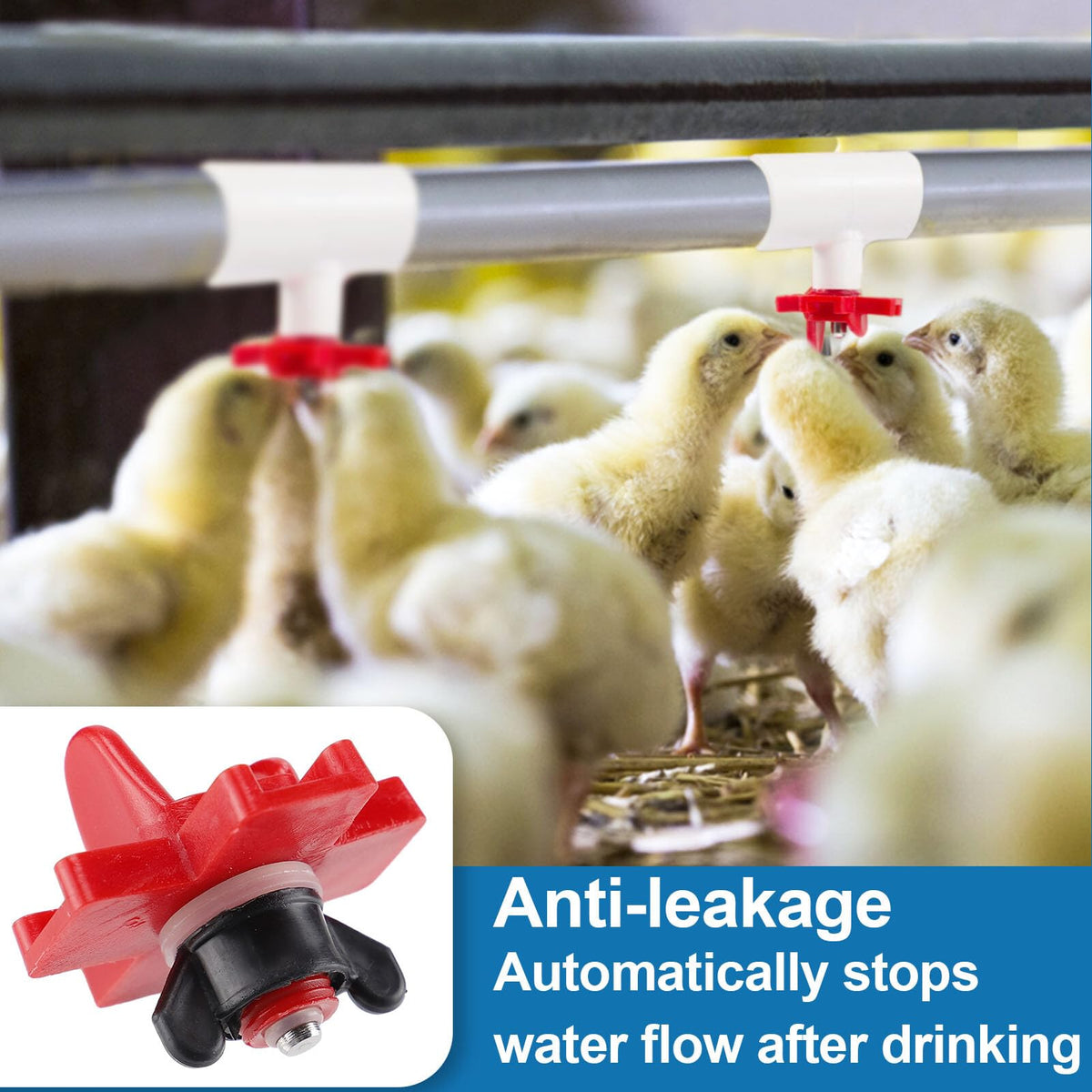20 Pack Chicken Waterer Nipples with Drill Bits F233