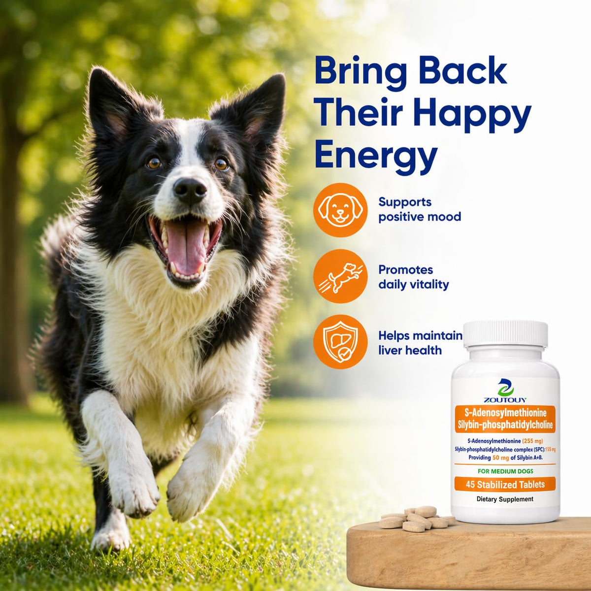 Silybin Tablets for Dogs C961962