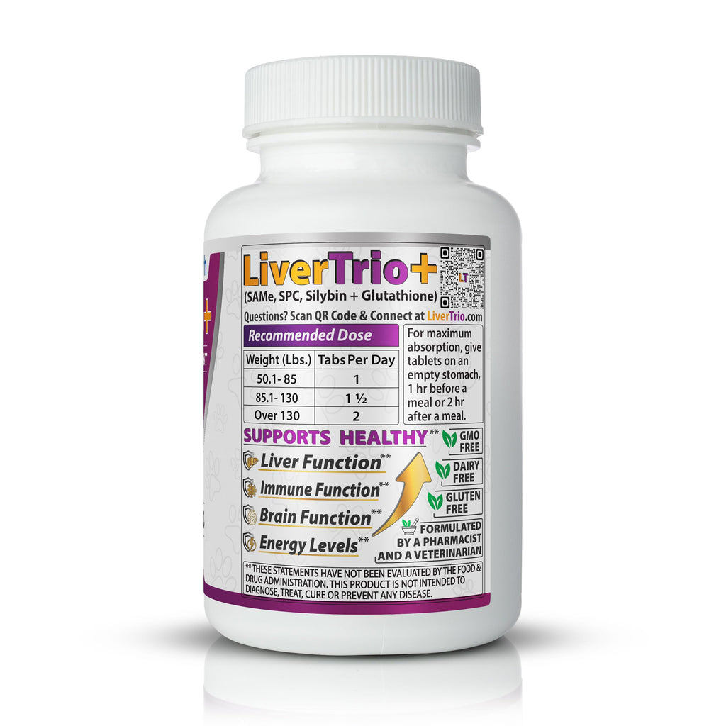 Liver Support Supplement for Large Dogs Chewable Tablets 30Ct V612727