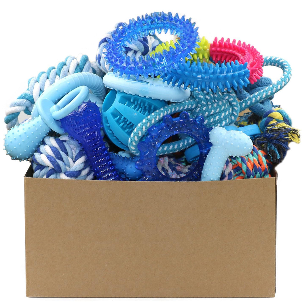 20 Pack Puppy Chew Toys Q38192