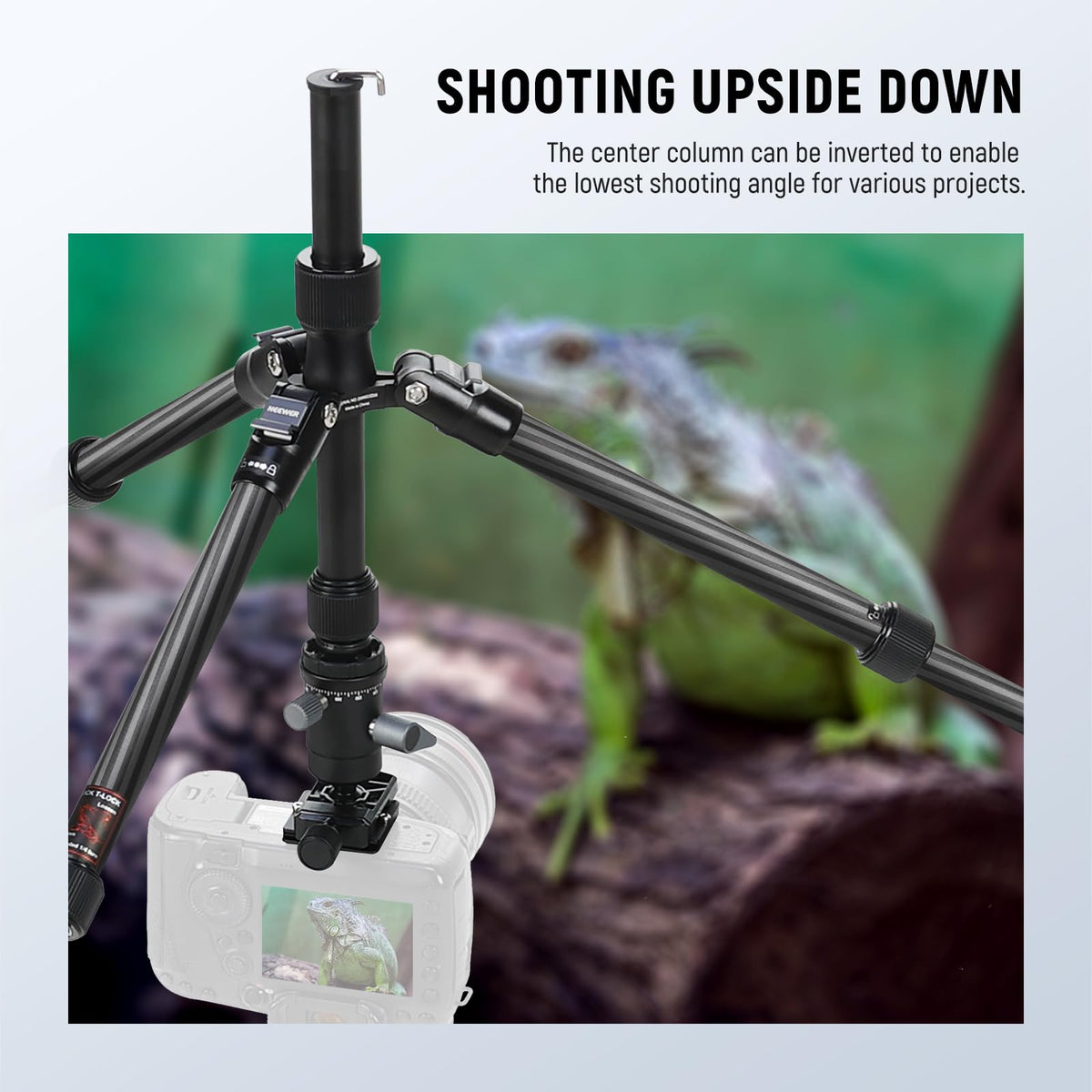 Carbon Fiber Camera Tripod Monopod 65" Lightweight Compact Travel DSLR Video Stand 360° Ball Head 13.2 lbs V452025