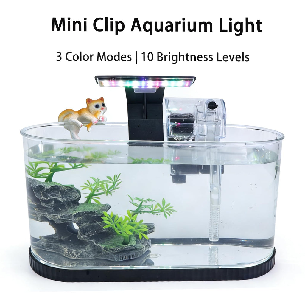 2 Gallon Fish Tank Kit with Filter and Light W8128