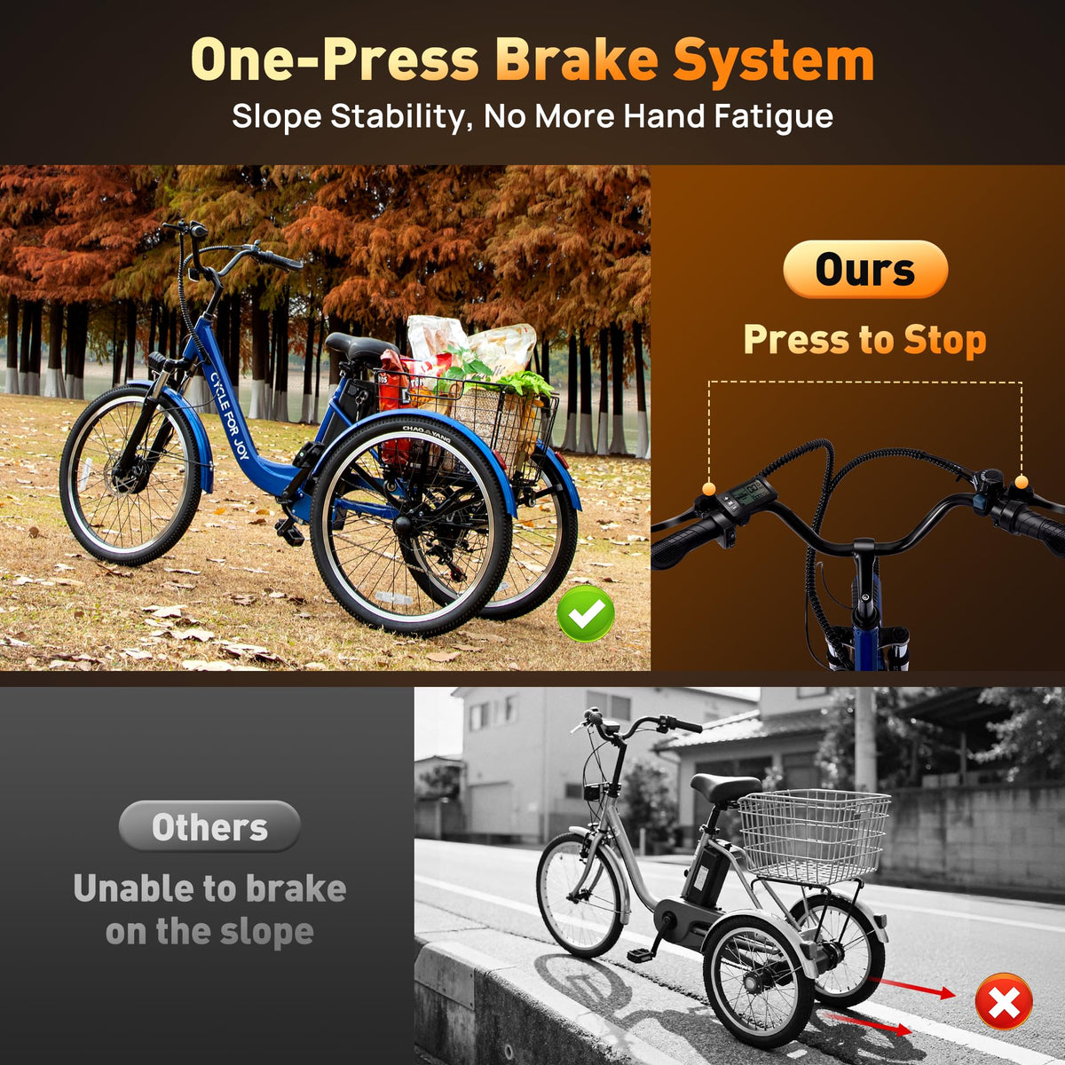 3 Wheel Electric Tricycle P9829