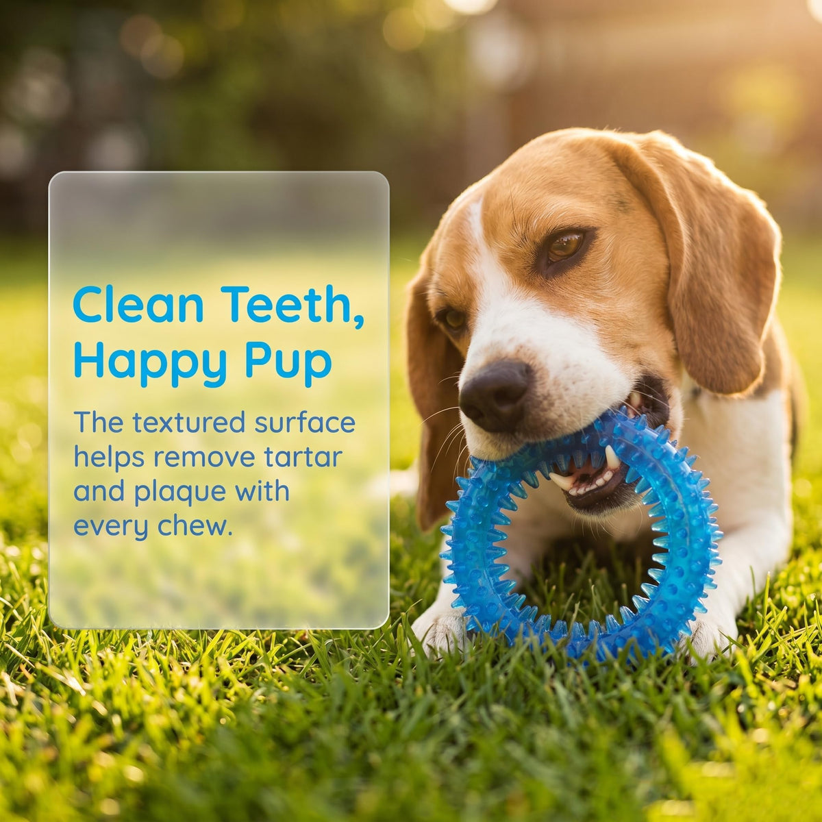 20 Pack Puppy Chew Toys Q38192