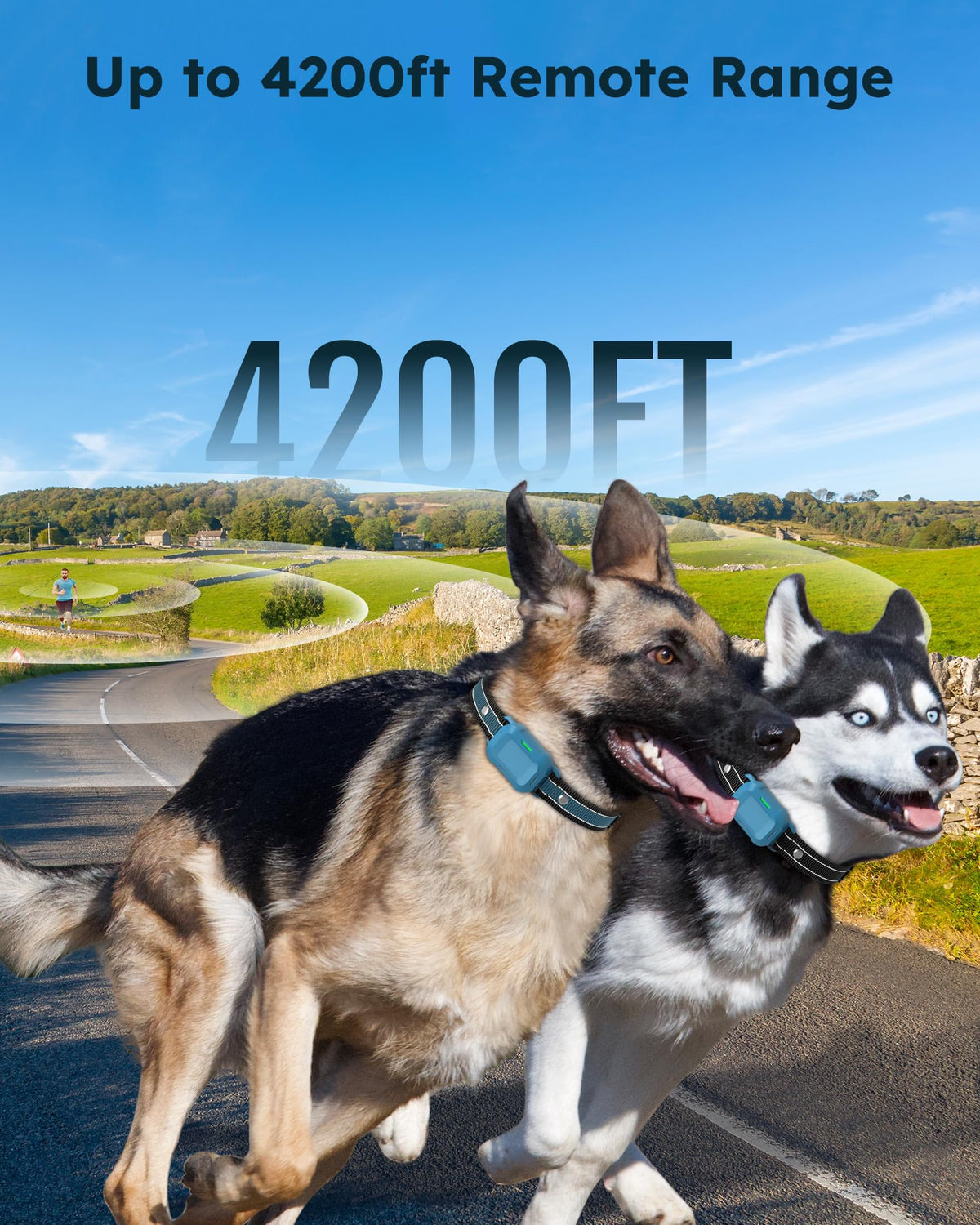 Dog Training Collar with Remote 2 Pack L601
