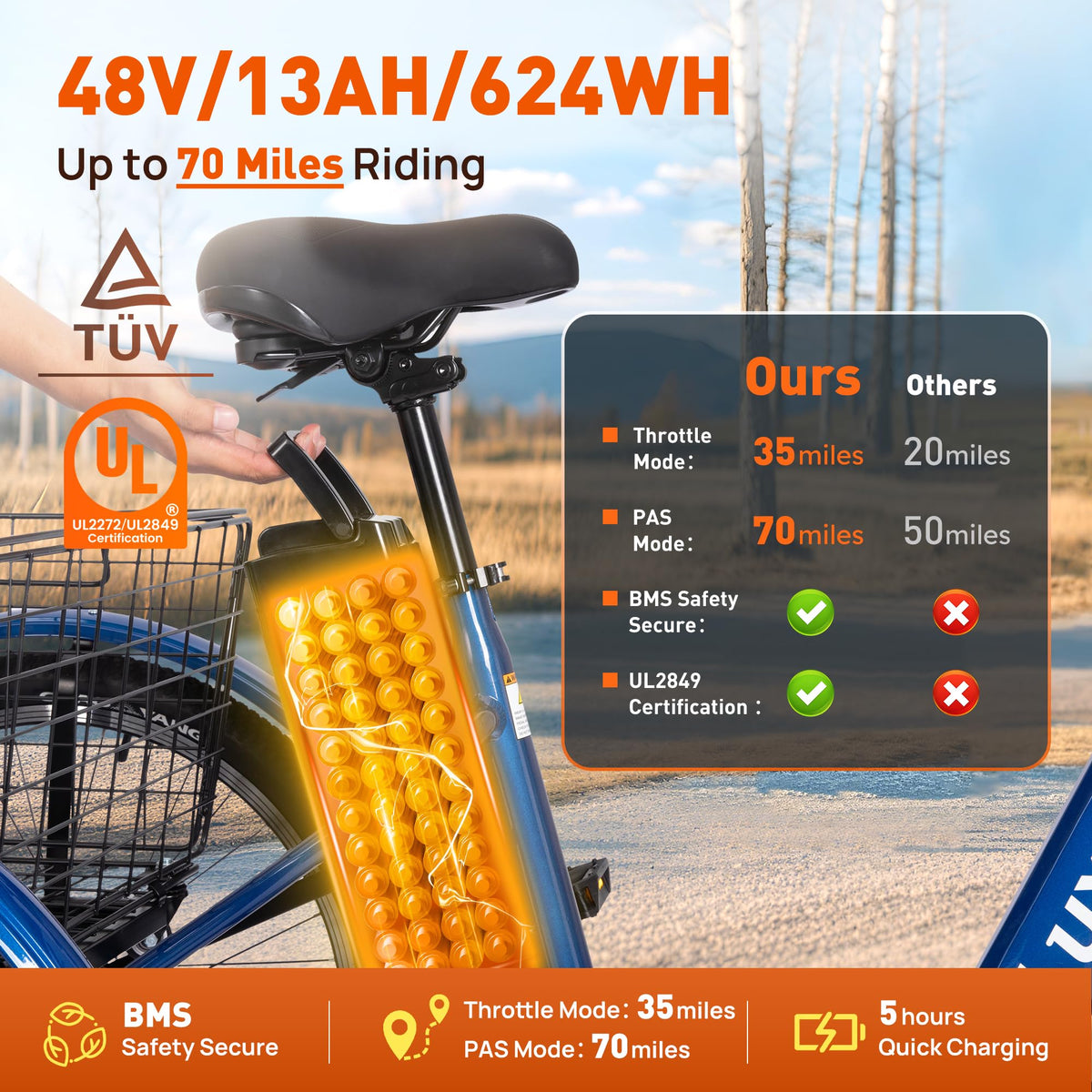 3 Wheel Electric Tricycle P9829