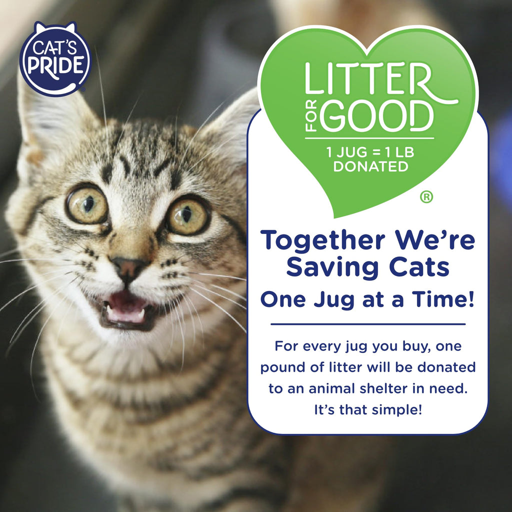 Antibacterial Odor-Eliminating Scented Cat Litter 12lb F64648