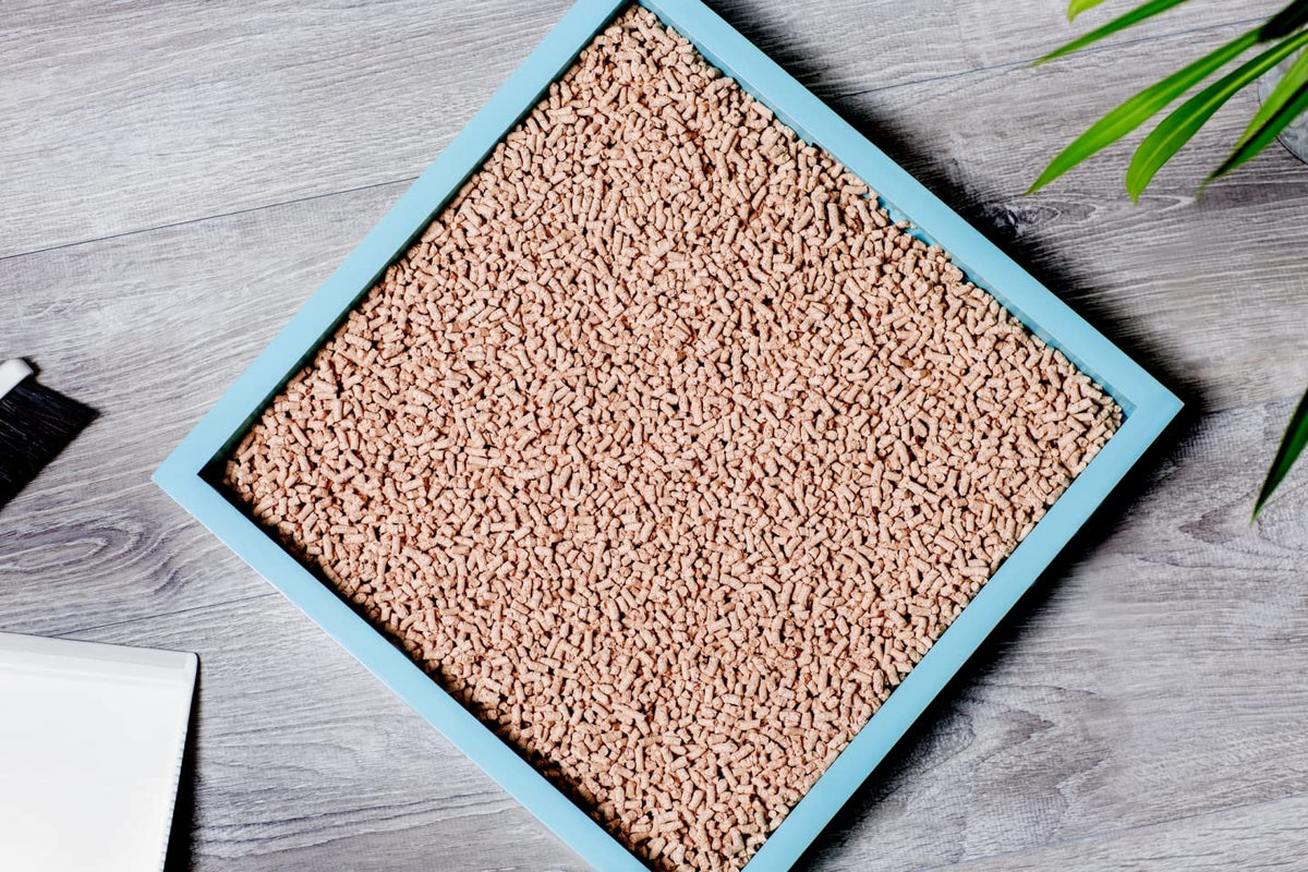 Hinoki Wood Cat Litter, Ultra Lightweight, Clumping E478016