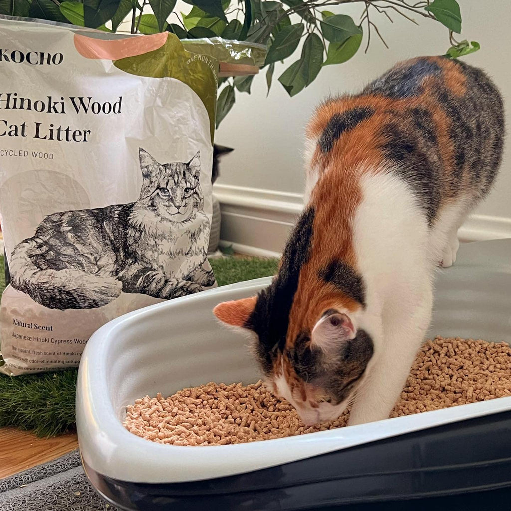 Hinoki Wood Cat Litter, Ultra Lightweight, Clumping E478016
