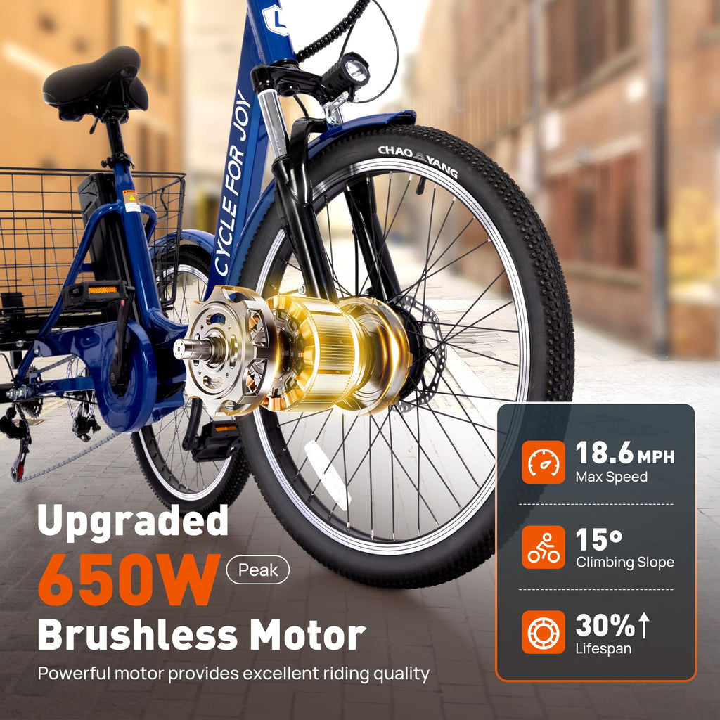 3 Wheel Electric Tricycle P9829