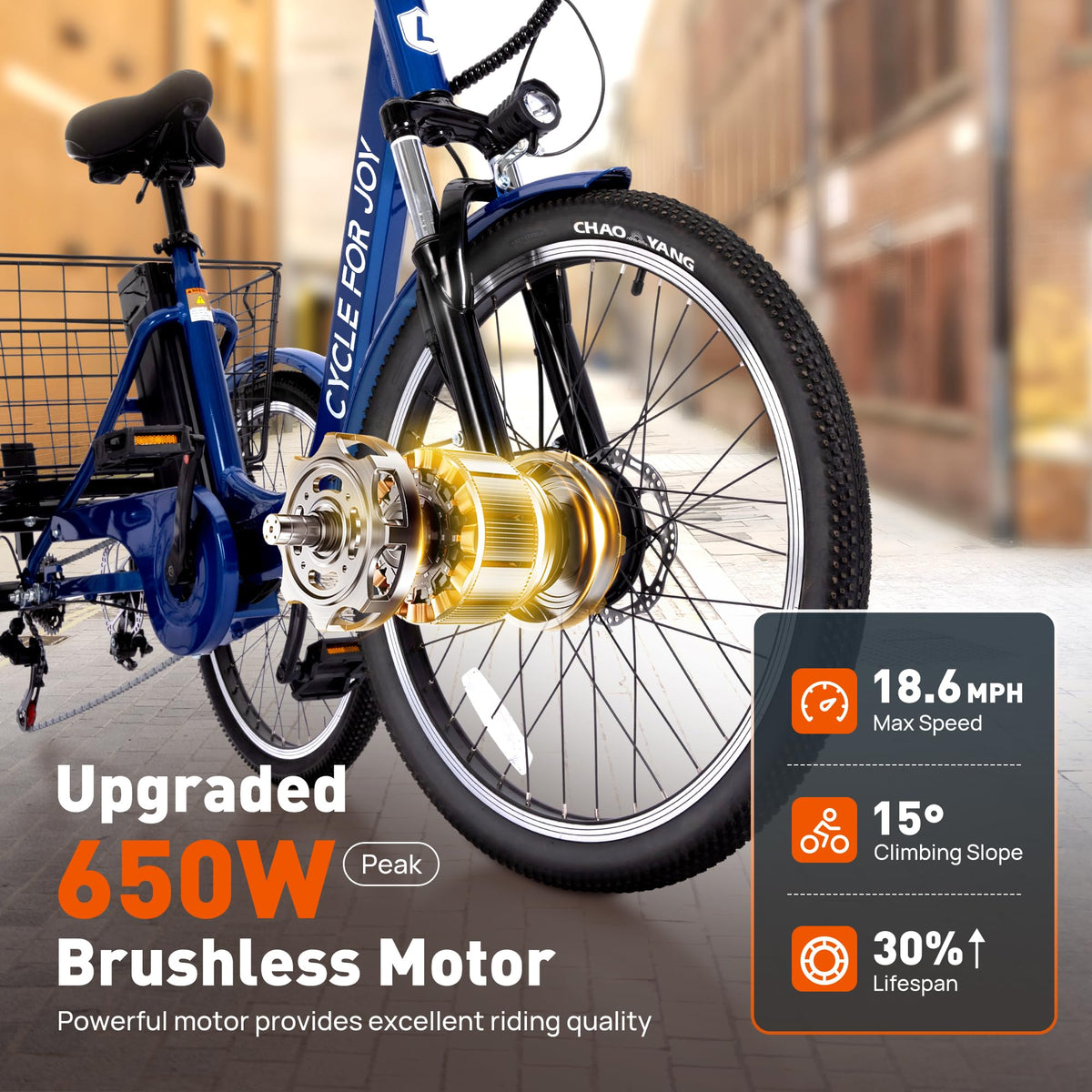 3 Wheel Electric Tricycle P9829