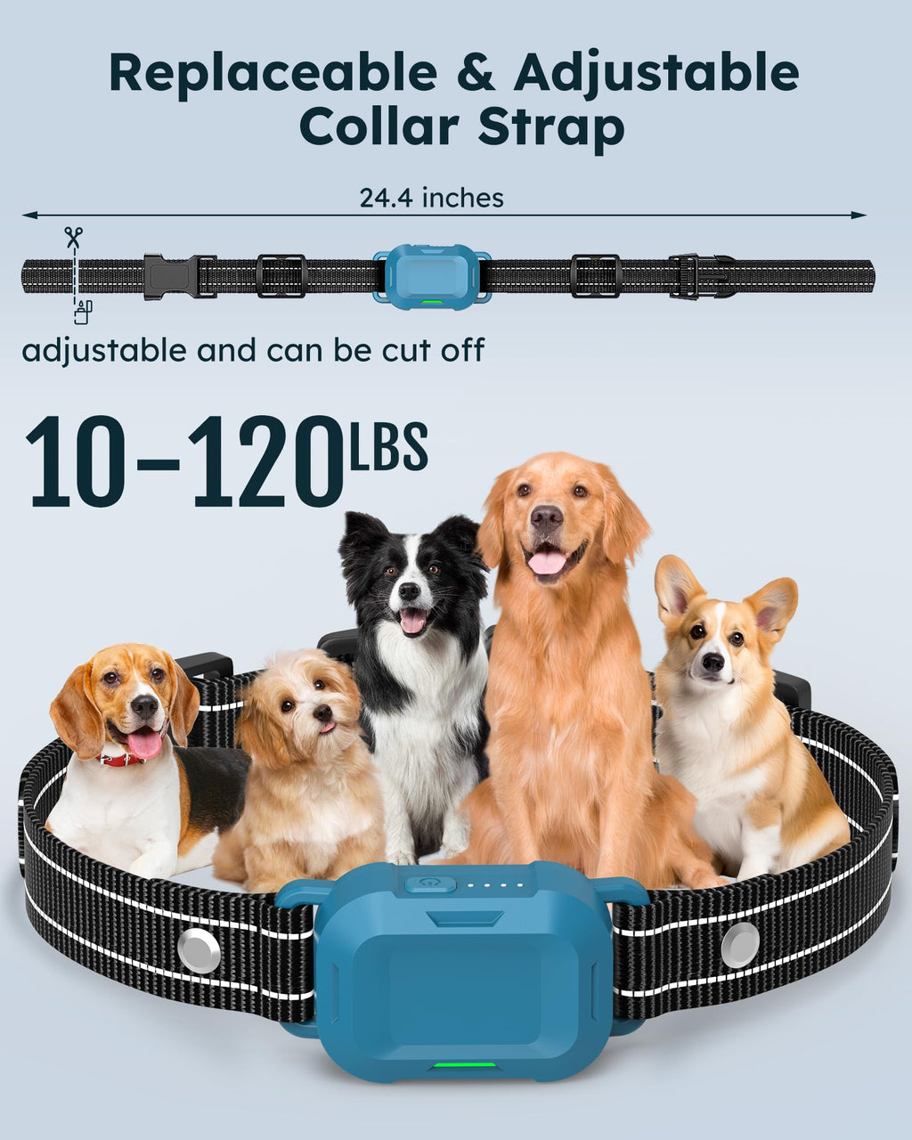 Dog Training Collar with Remote 2 Pack L601