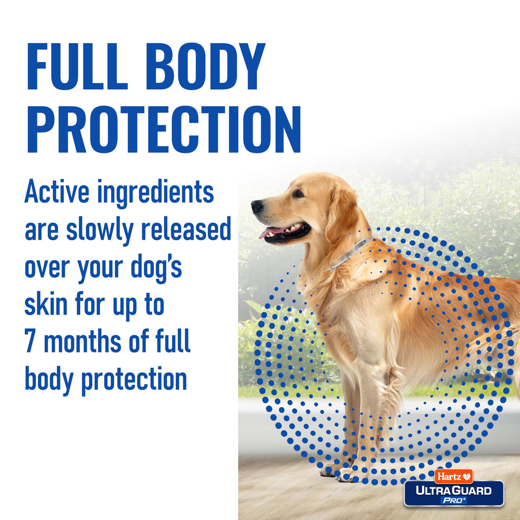 Reflective Flea & Tick Collar for Dogs and Puppies, 7 Month, 1 Count X86808