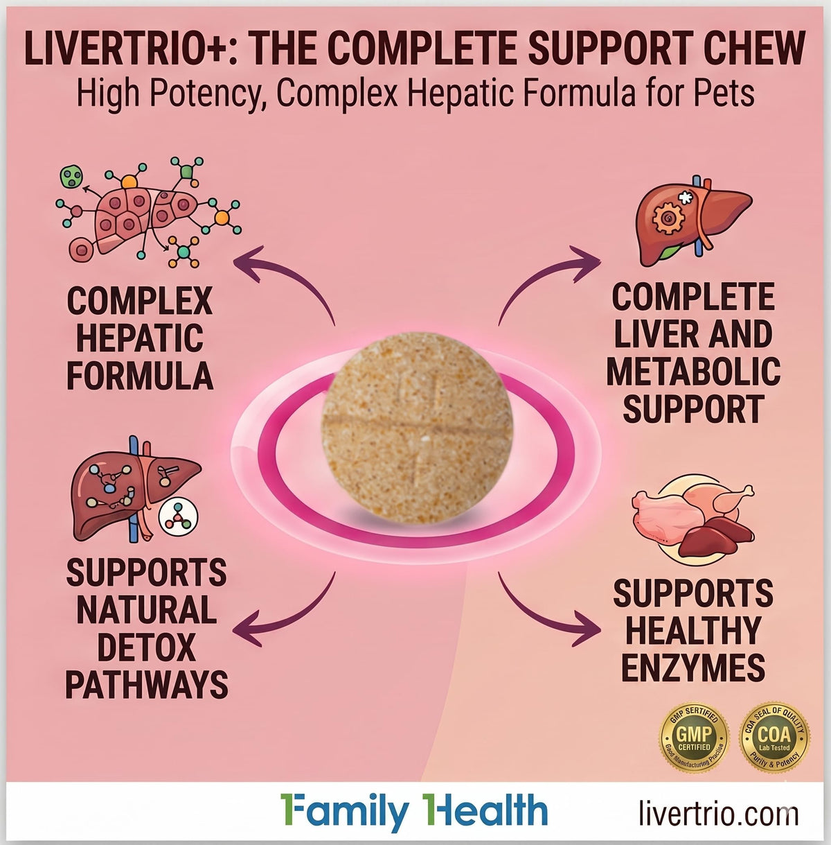 Liver Support Supplement for Large Dogs Chewable Tablets 30Ct V612727