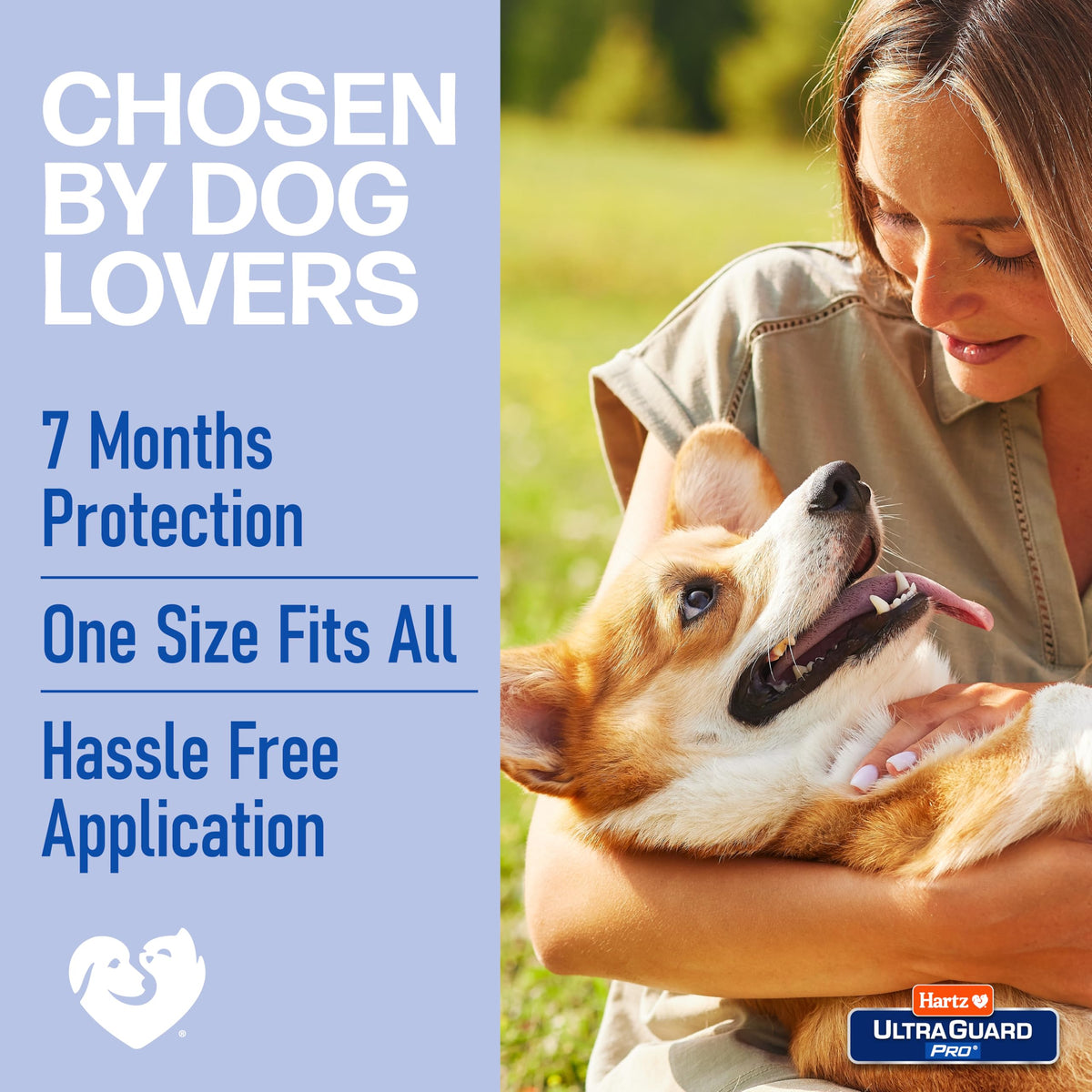 Reflective Flea & Tick Collar for Dogs and Puppies, 7 Month, 1 Count X86808