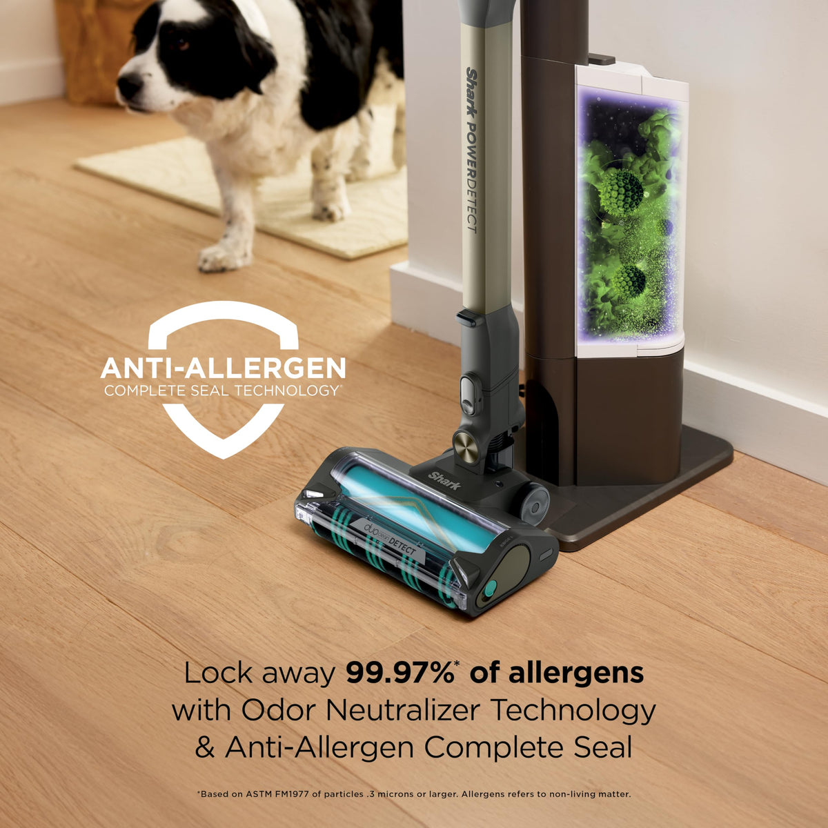 Cordless Stick Vacuum F8558