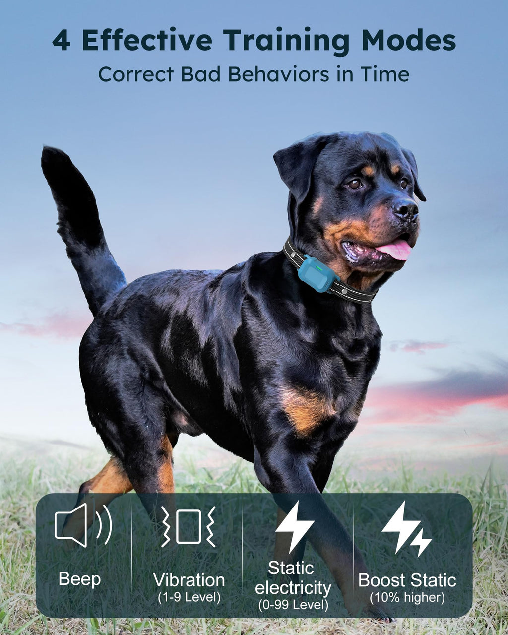 Dog Training Collar with Remote 2 Pack L601