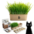 4-Batch Indoor Cat Grass Grow Kit with Containers, Soil Disks & Seeds D79820