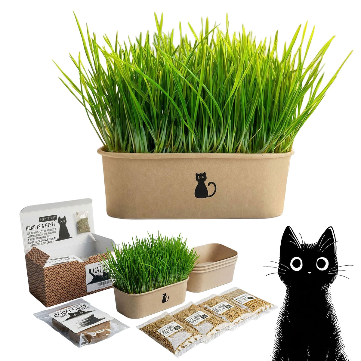 4-Batch Indoor Cat Grass Grow Kit with Containers, Soil Disks & Seeds D79820