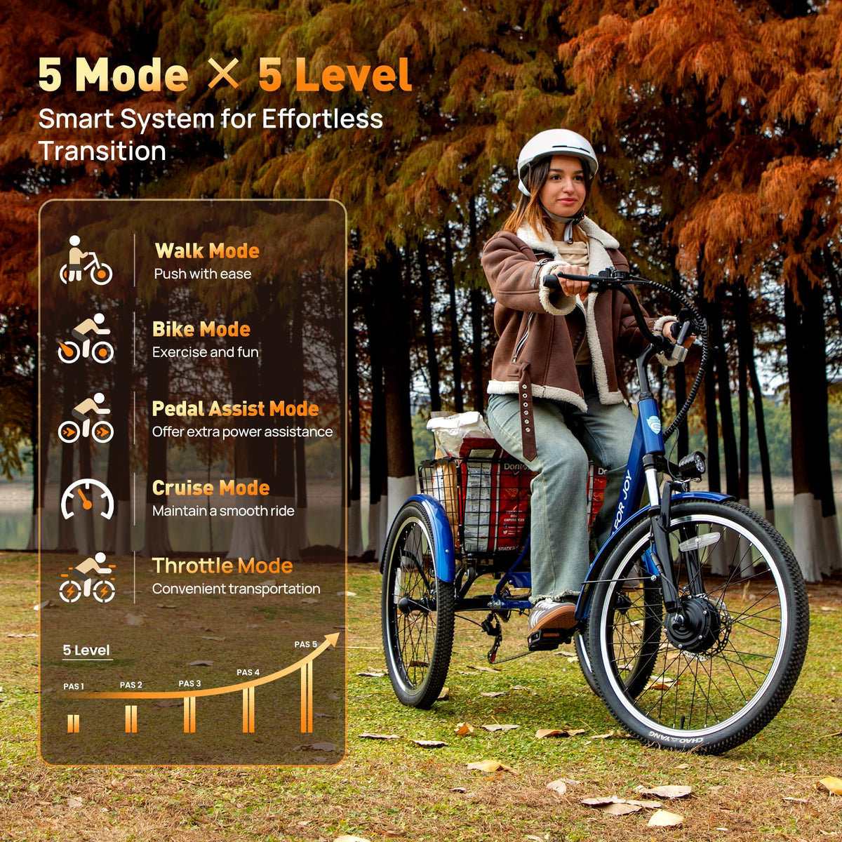 3 Wheel Electric Tricycle P9829