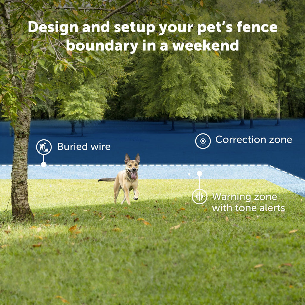 In-Ground Fence F539